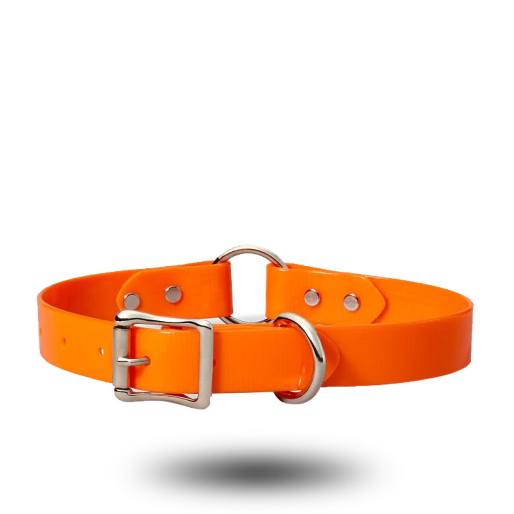 Filson Webbing Dog Collar Blaze Orange