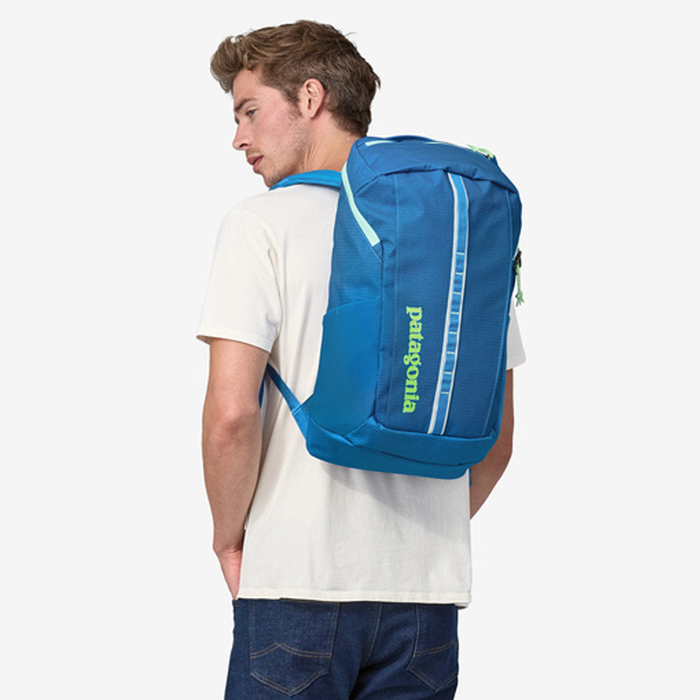 Patagonia Black Hole Pack 25L busk Green