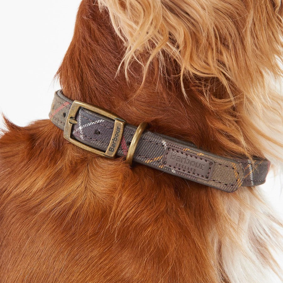 Halsband Für Hunde Tartan und Leder