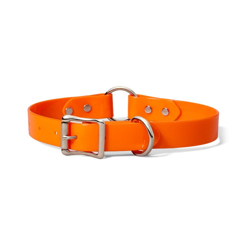 Webbing Dog Collar Blaze Orange
