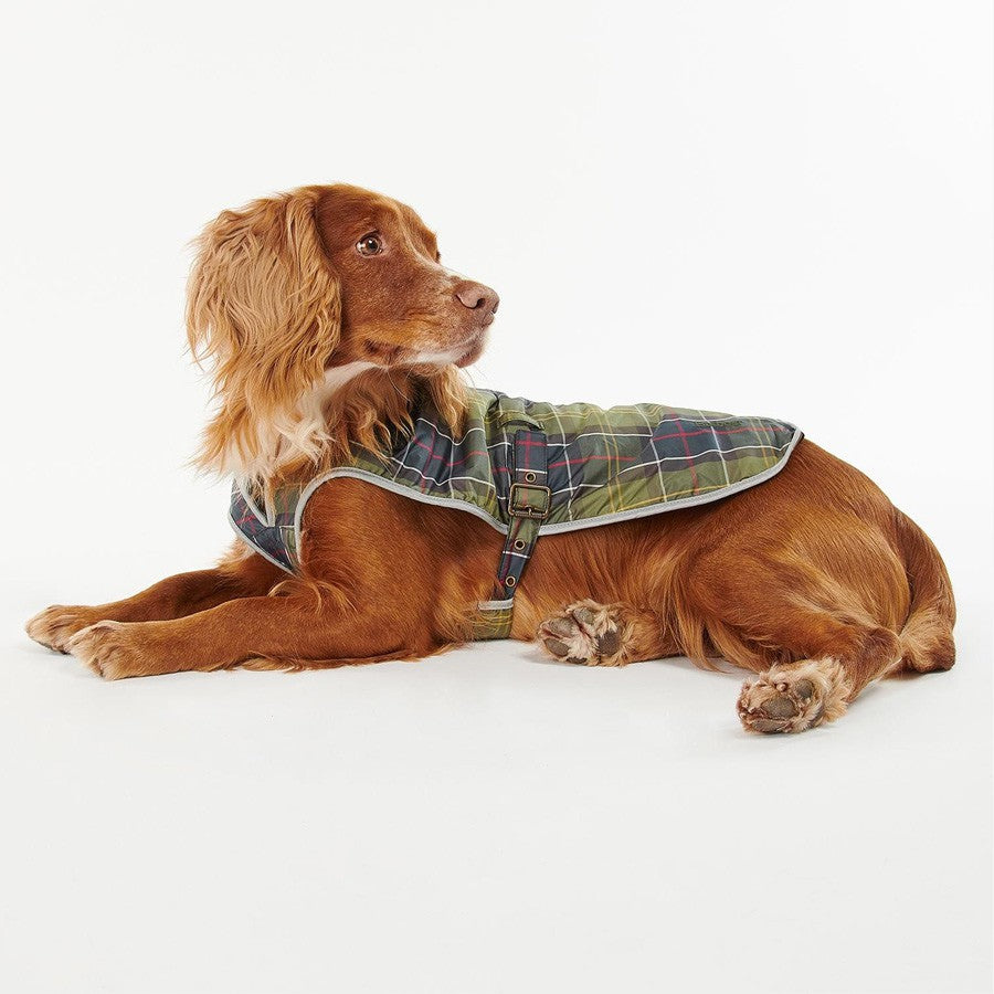Impermeable Tartan Abrigo para perros